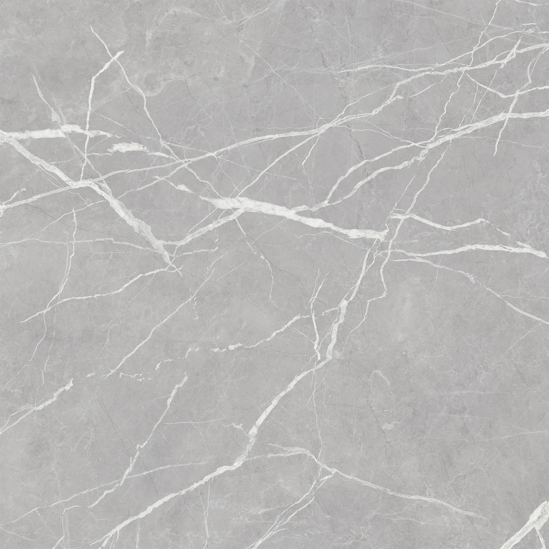 картинка Win grey PG 01 450x450 магазин Gracia являющийся официальным дистрибьютором в России картинка Win grey PG 01 450x450 от магазина Gracia