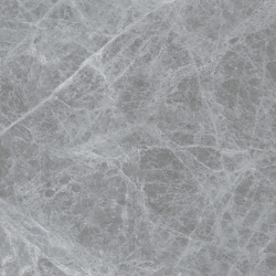 Radial Silver Radial Silver
