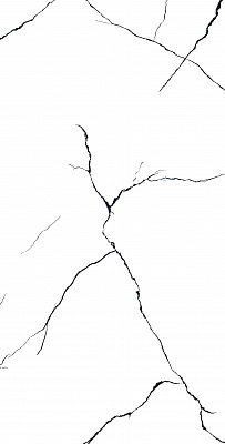 Black Line