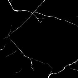 White Line White Line